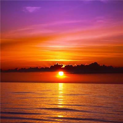 LD乐动体育官方入口